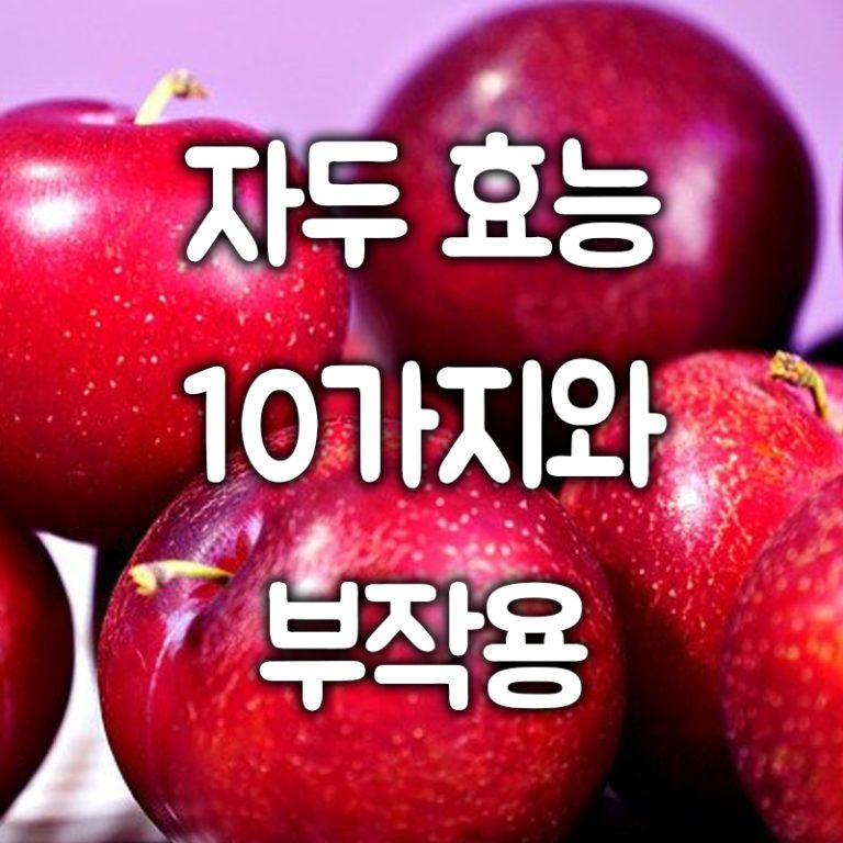 자두 효능 10가지와 부작용 정리